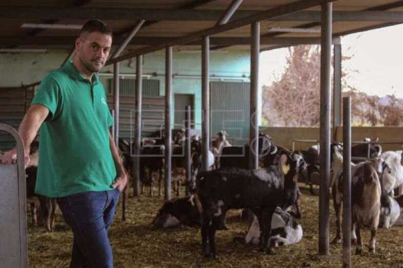 Agustín Perera, dueño de Quesos Perera, posa junto a sus cabras evacuadas por la erupción del volcán Cumbre Vieja en La Palma / EFE Luis G. Morera